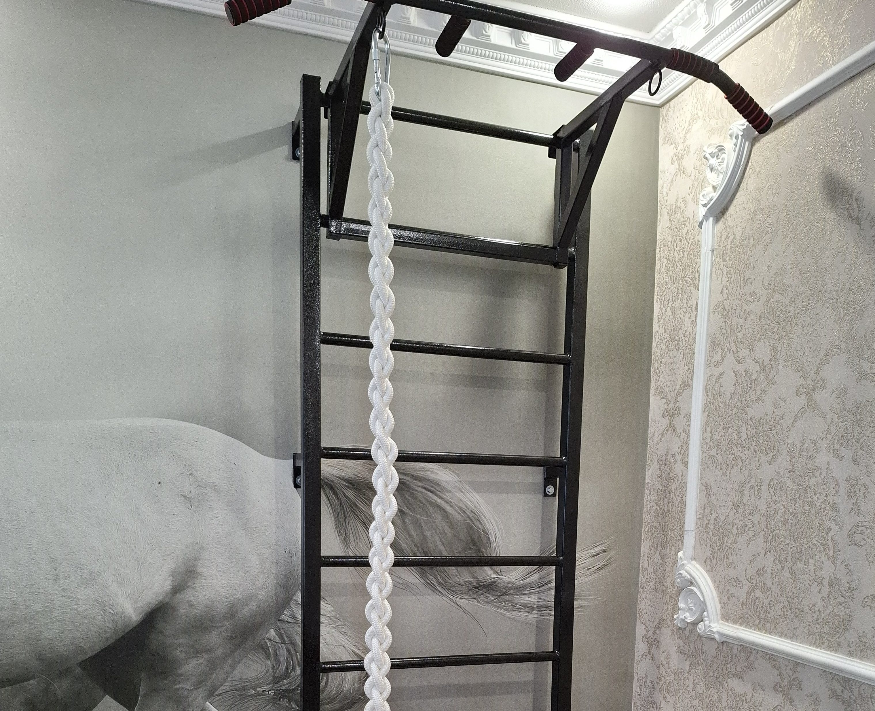 Шведская стенка 